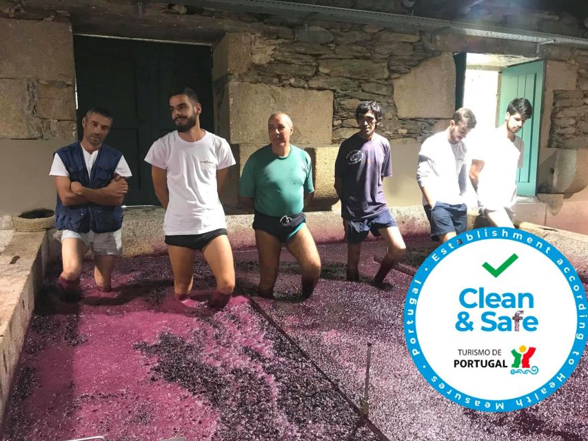 From Porto: Private Douro Valley Tour with Cruise and Wine - What $294 per person gets you