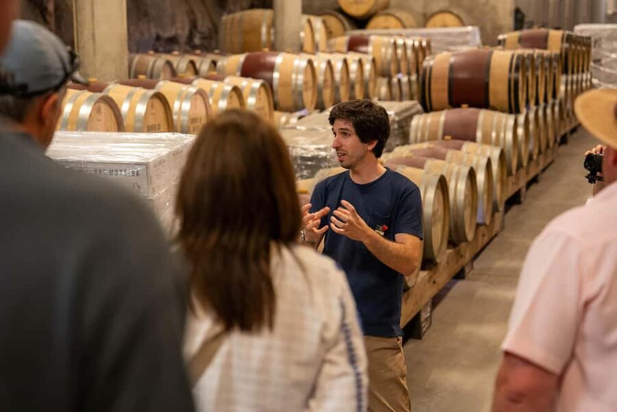 From Porto: Small Group Douro Valley Tour with Wine & Cruise - The second winery and the three-course Portuguese lunch