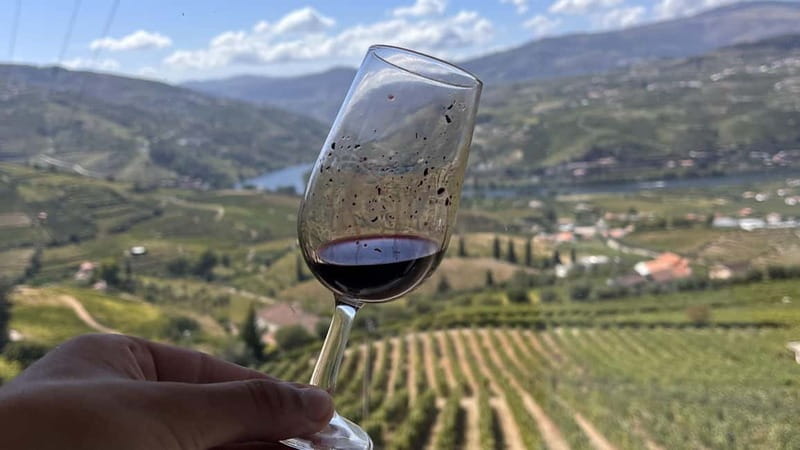 From Porto: Tastings at 2 Wineries, Chef's Lunch & Boat Tour - Pinhão and the private Douro boat ride