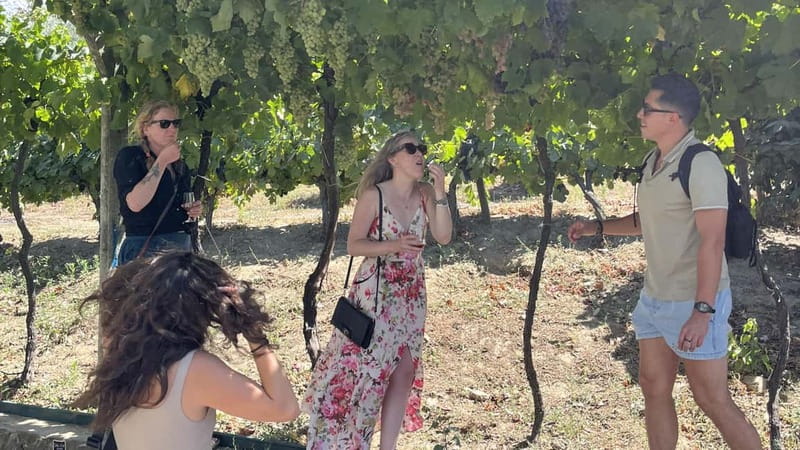 From Porto: Tastings at 2 Wineries, Chef's Lunch & Boat Tour - Two wineries, but two different experiences