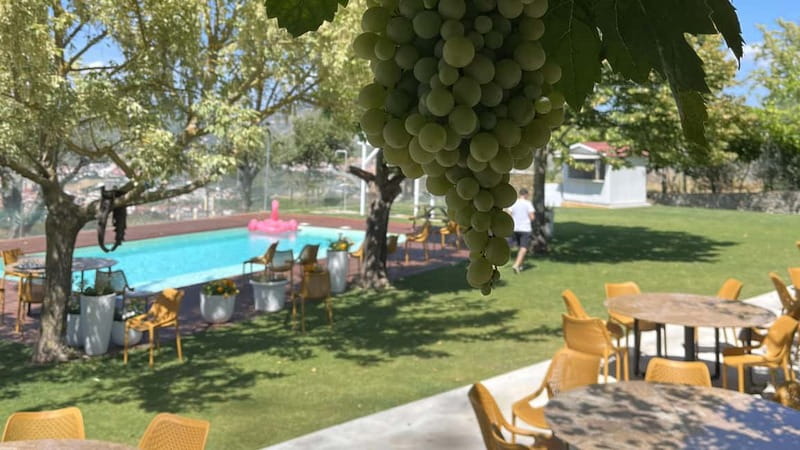 From Porto: Tastings at 2 Wineries, Chef's Lunch & Boat Tour - What the price includes at $134