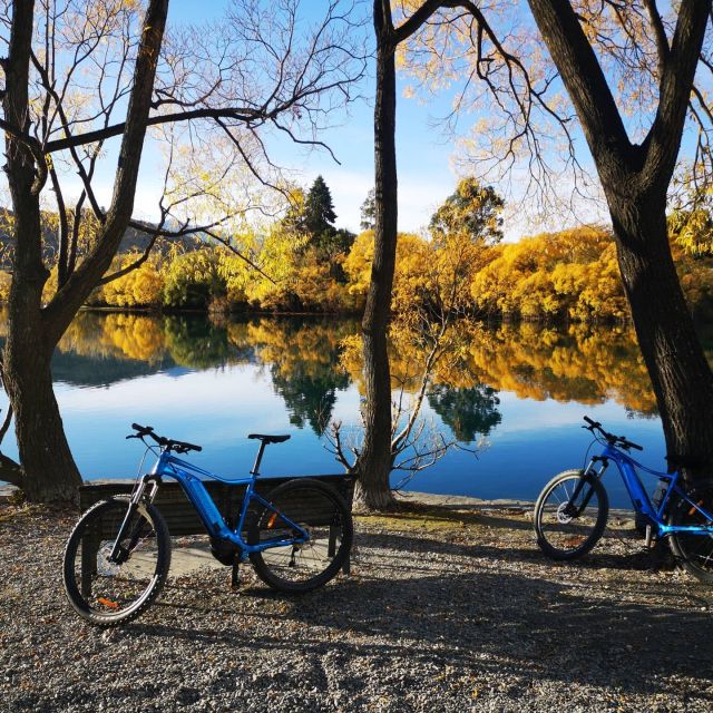 From Queenstown: 'Valley of the Vines' Wine and Bike Tour - Key points at a glance