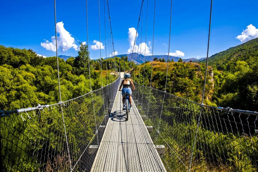 From Queenstown: 'Valley of the Vines' Wine and Bike Tour - Choosing between an eBike and a pedal bike