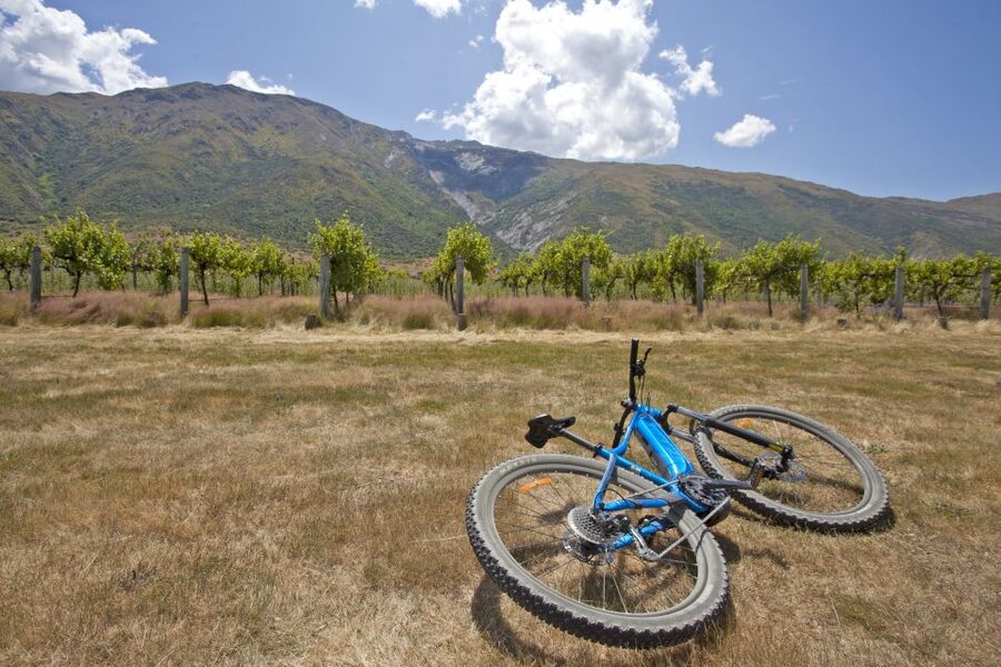 From Queenstown: 'Valley of the Vines' Wine and Bike Tour - The Kawarau River and extra highlights