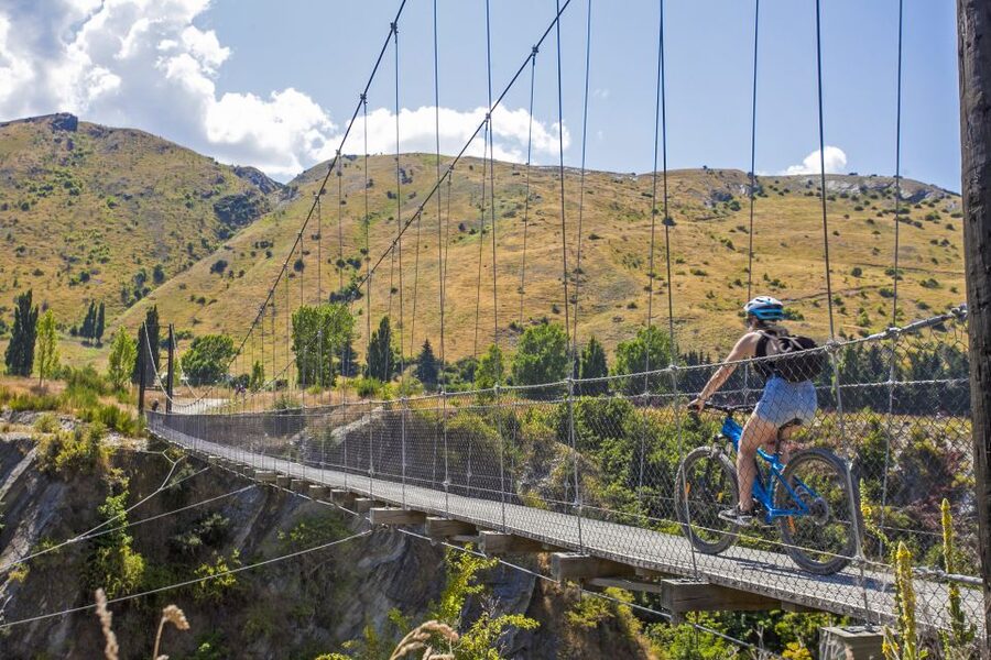 From Queenstown: 'Valley of the Vines' Wine and Bike Tour - Who should book this tour?