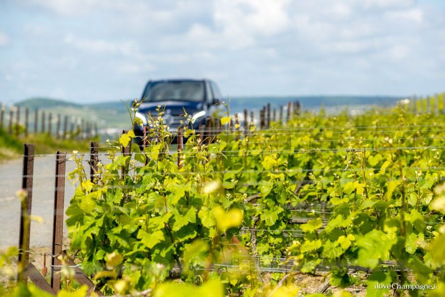 From Reims: Champagne and Family-Run Wineries Tour - Hautvillers and the church of Dom Pérignon