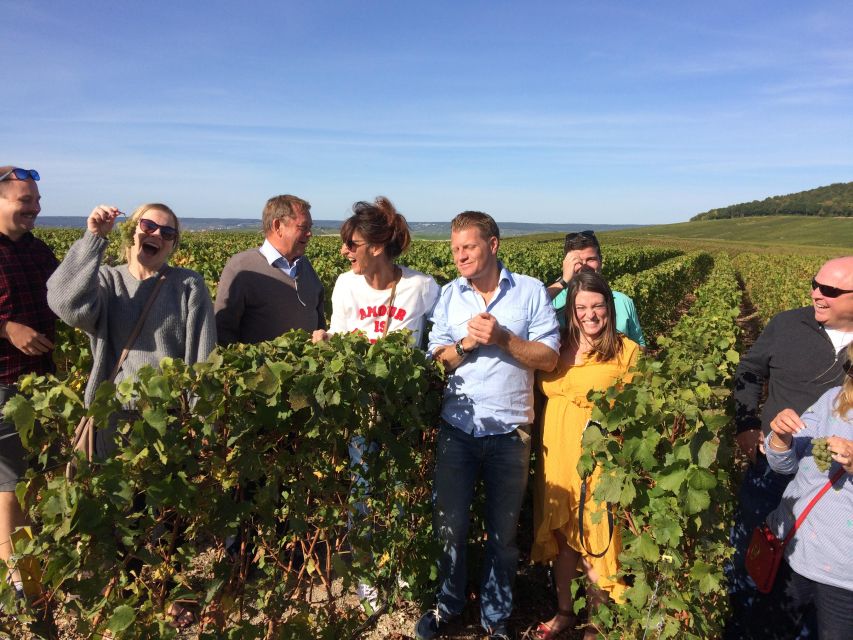 From Reims/Epernay: Champagne half-day tour (small group) - Who will enjoy this Champagne tour most?