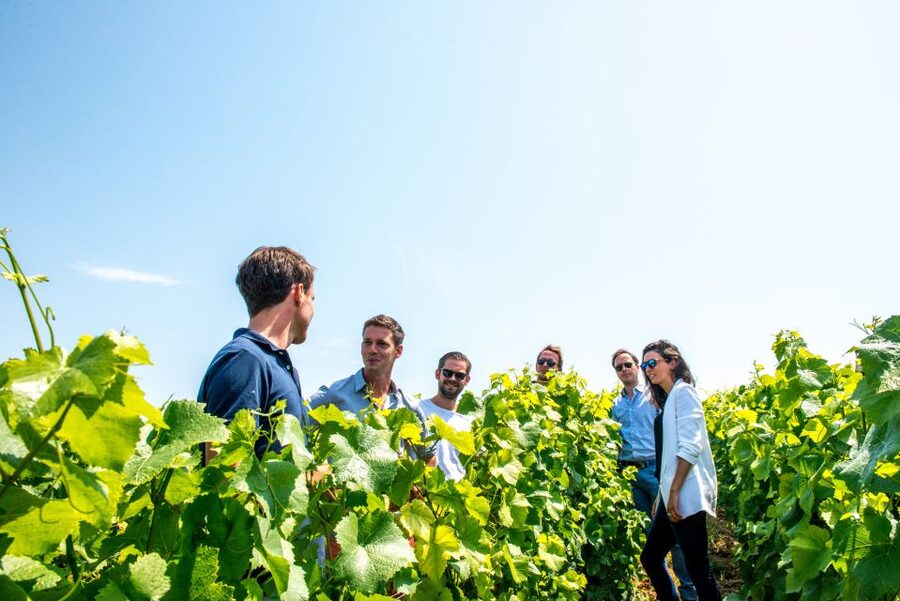 From Reims: Morning Champagne Tour and Tastings - Should you book the Reims Champagne morning?
