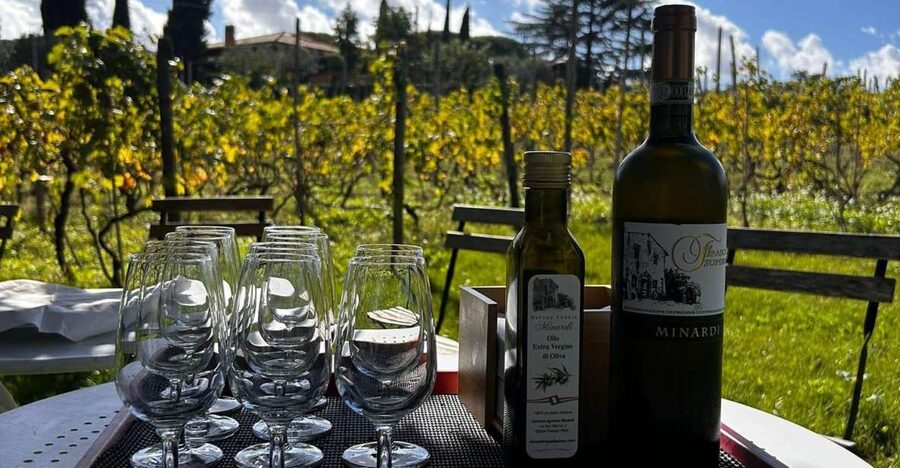 From Rome: Half-Day Frascati Wine Tour with Farmhouse Lunch - What makes this Frascati outing special