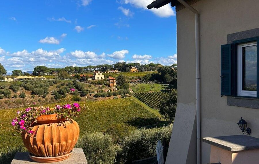 From Rome: Half-Day Frascati Wine Tour with Farmhouse Lunch - Three wines, olive oil, and a proper meal