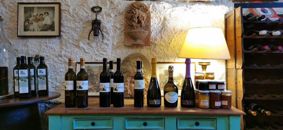 From Rome: Half-Day Frascati Wine Tour with Farmhouse Lunch - How much time should you really allow?