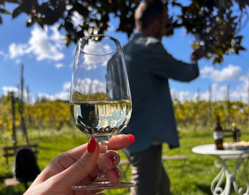 From Rome: Half-Day Frascati Wine Tour with Farmhouse Lunch - Is $99 a fair price?