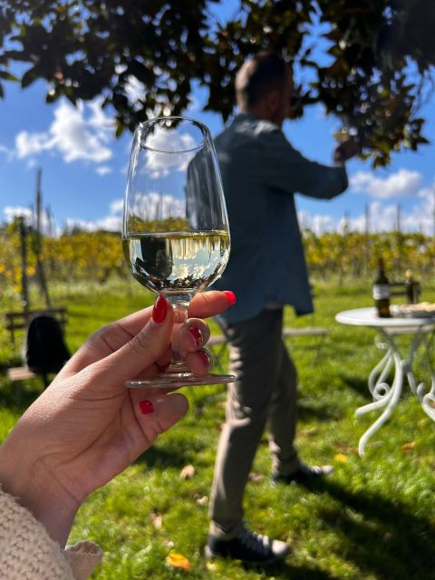 From Rome: Pasta Masterclass & Wine Tour in the Vineyard - Lunch with the pasta you made