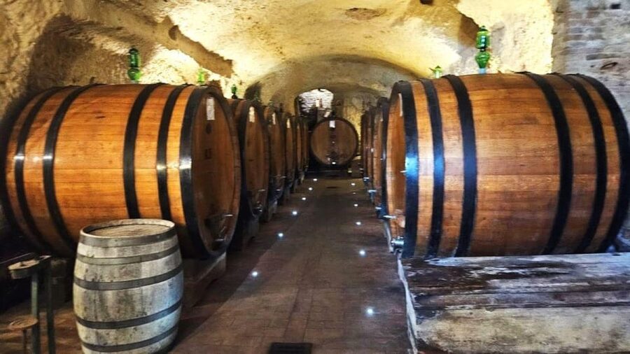 From Rome: Tuscany, Montepulciano Tour with Wine & Lunch - What the guides and organization add