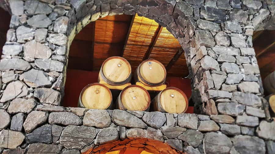 From Salta: Cafayate Day Trip with Wine Tasting - What the bilingual guiding is really like