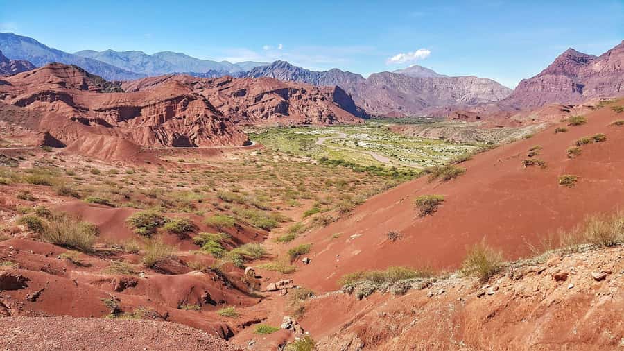 From Salta: Cafayate Day Trip with Wine Tasting - Transport, group size, and pace