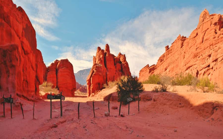 From Salta: Cafayate, land of wines and imposing ravines - Devil’s Throat and Amphitheater: the first great rock formations