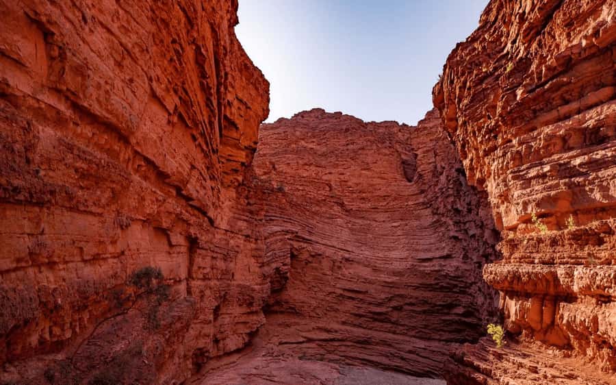 From Salta: Cafayate, land of wines and imposing ravines - Cafayate: lunch, town time, and the wine route