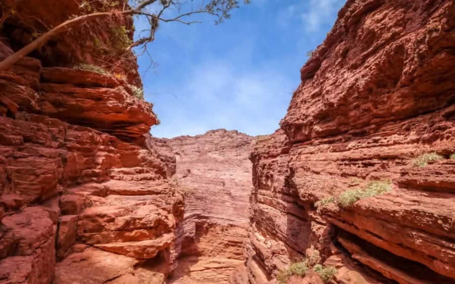 From Salta: Cafayate, land of wines and imposing ravines - Guides, language, and the human side of the day