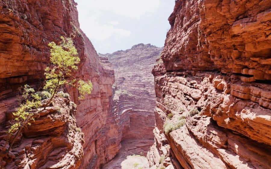 From Salta: Cafayate, land of wines and imposing ravines - Price, value, and who should book