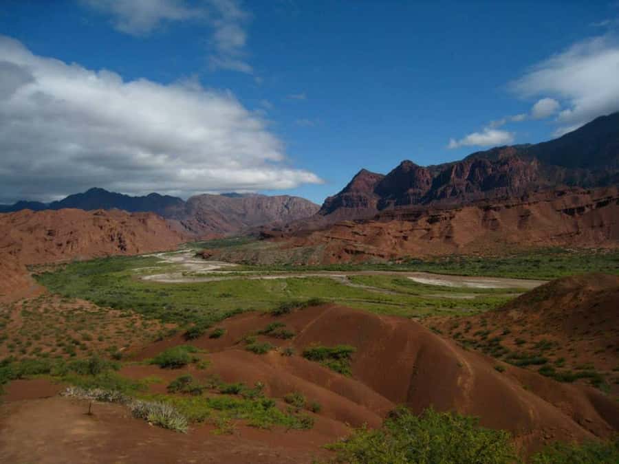 From Salta: Full-Day Tour to Cafayate with Wine Tasting - Five things to know before booking