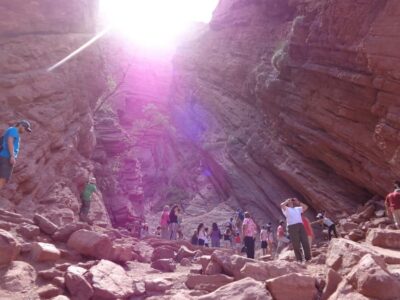 From Salta: Full-Day Tour to Cafayate with Wine Tasting