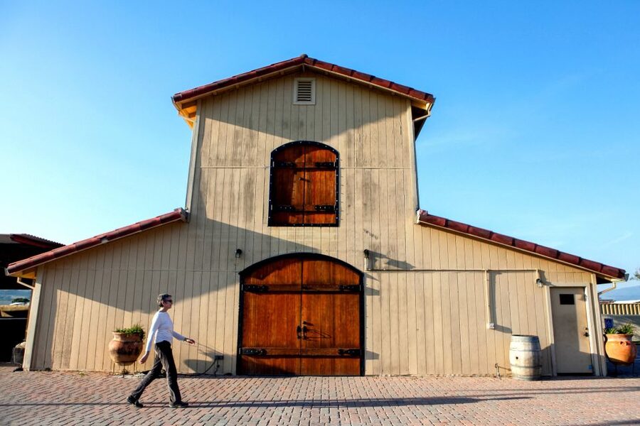 From San Francisco: Muir Woods & 3 Wineries in Napa & Sonoma - Three tastings across Napa and Sonoma