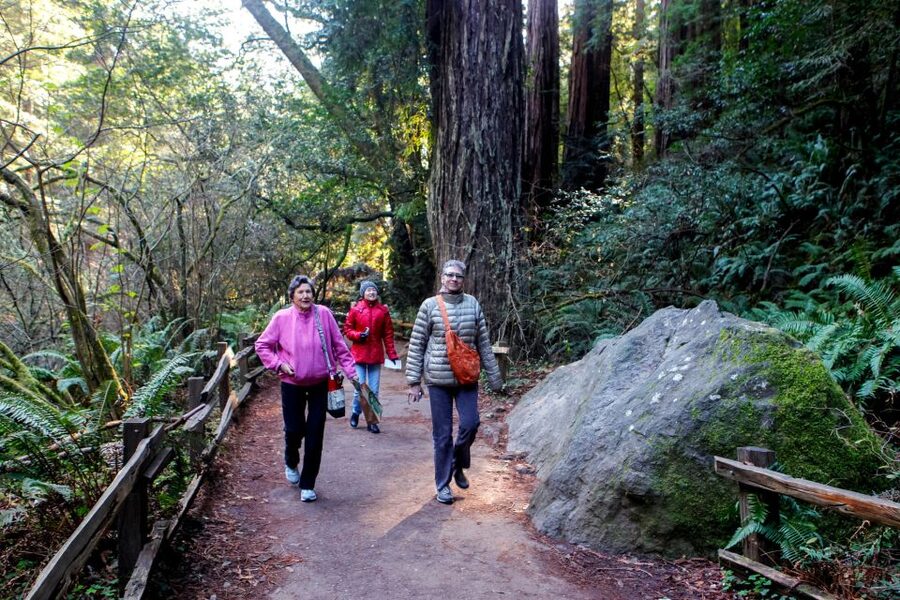 From San Francisco: Muir Woods & 3 Wineries in Napa & Sonoma - What the small biofuel coach adds