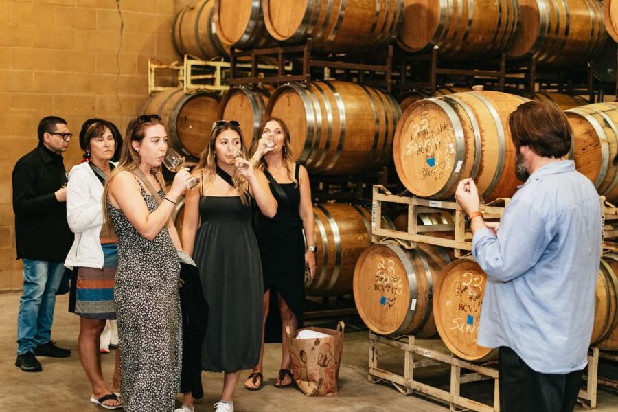 From San Francisco: Napa & Sonoma Valley Full-Day Wine Tour - Napa and Sonoma in one efficient route
