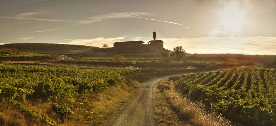 From San Sebastian/Bilbao/Vitoria: La Rioja Wineries Tour - The Rioja details that matter most
