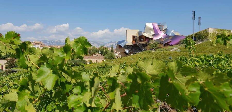 From San Sebastian/Bilbao/Vitoria: La Rioja Wineries Tour - Learning what Rioja tastes like