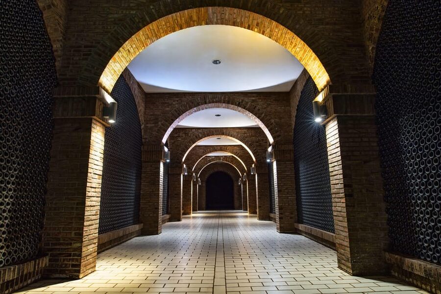 From San Sebastian/Bilbao/Vitoria: La Rioja Wineries Tour - What the guide adds to the day