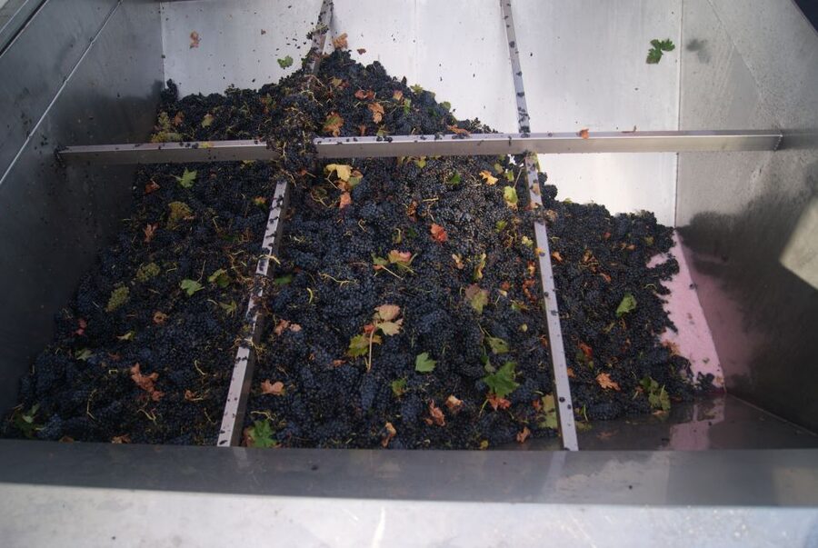 From San Sebastian/Bilbao/Vitoria: La Rioja Wineries Tour - Is $318 a fair price?
