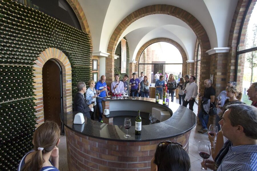 From San Sebastian/Bilbao/Vitoria: La Rioja Wineries Tour - Comparing a small winery with a mid-sized producer