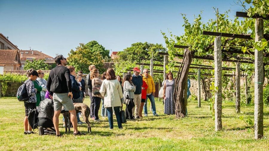 From Santiago: Tour to Rias Baixas with Boat Trip and Winery - Five things to know before you go