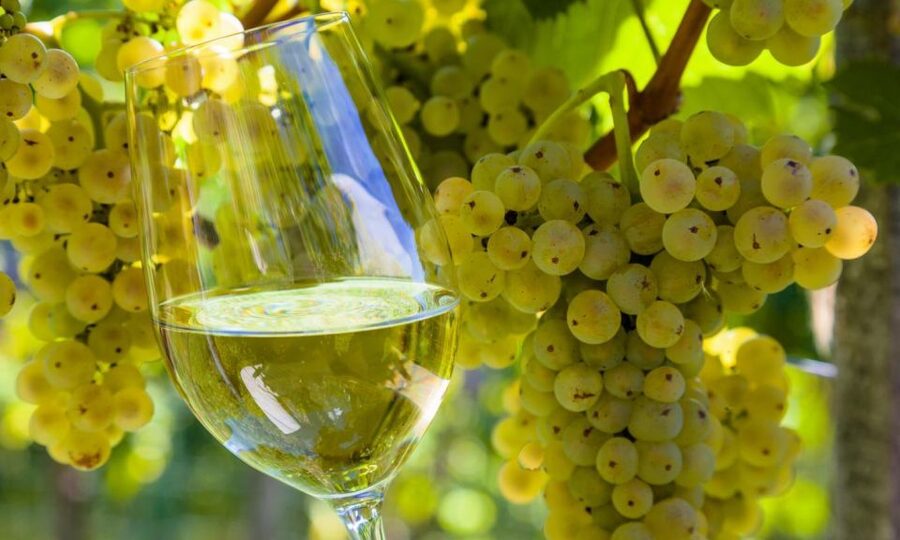 From Santiago: Tour to Rias Baixas with Boat Trip and Winery - Transport, guides, and the day’s pace
