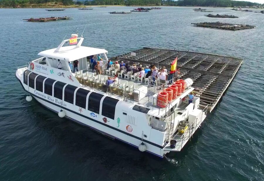 From Santiago: Tour to Rias Baixas with Boat Trip and Winery - Combarro: granite, granaries, and sea views