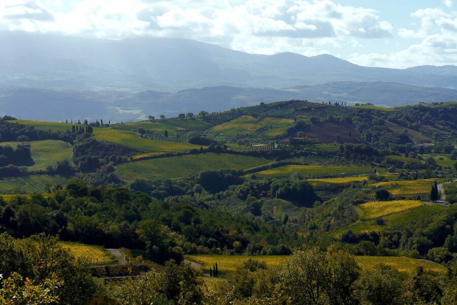 From Siena: Brunello di Montalcino Guided Wine Tour W/ Lunch - Is $203.91 a fair price?