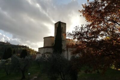 Brunello di Montalcino Guided Wine Tour W/ Lunch