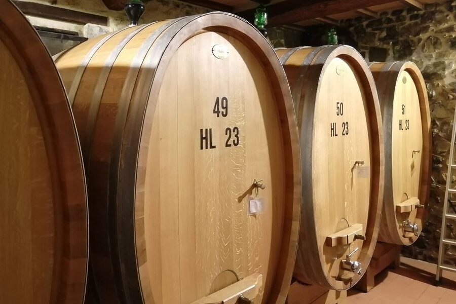 From Siena: Brunello di Montalcino Guided Wine Tour W/ Lunch - A family winery lunch with wine