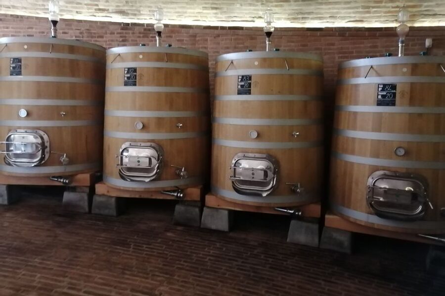 From Siena: Brunello di Montalcino Guided Wine Tour W/ Lunch - Guides who add value beyond the wine