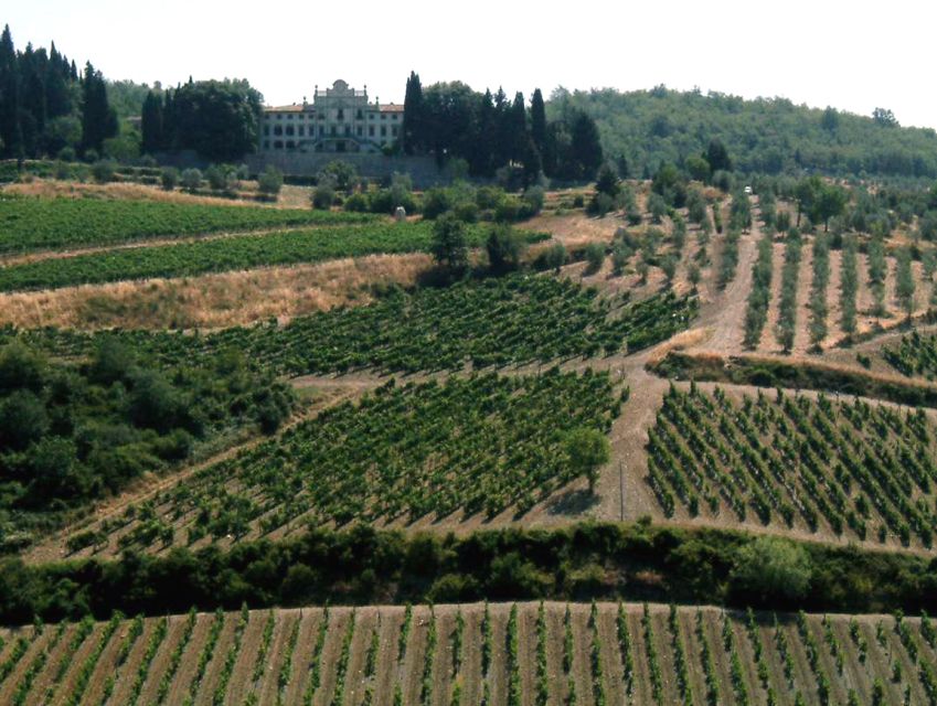 From Siena: Chianti and Castles Tour with Wine Tastings - First winery, from polished tasting room to Tuscan snacks