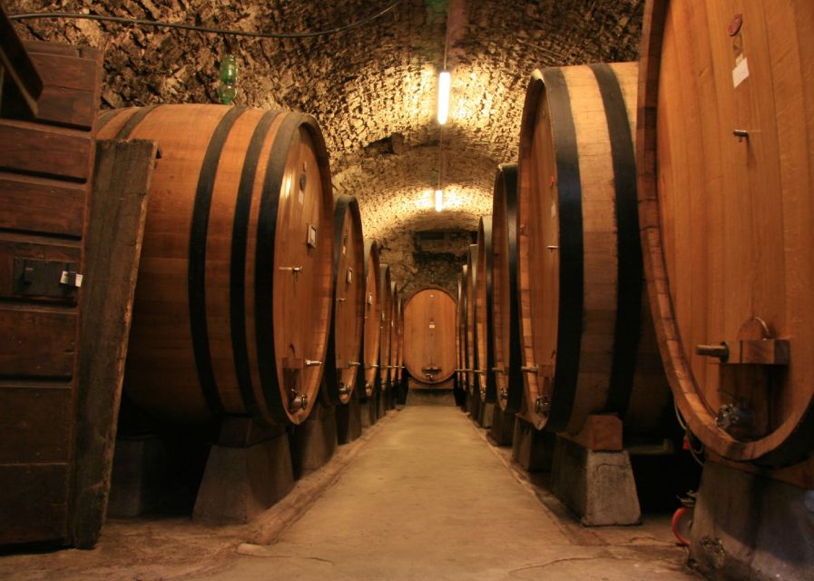 From Siena: Chianti and Castles Tour with Wine Tastings - What $100 buys you in practical terms