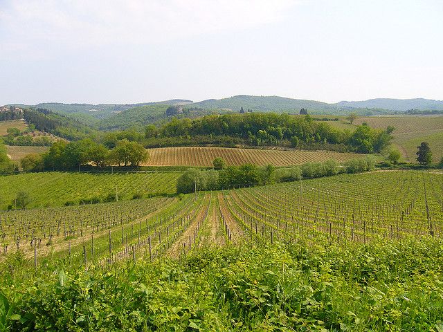 From Siena: Chianti and Castles Tour with Wine Tastings - Who will enjoy this half-day tour most