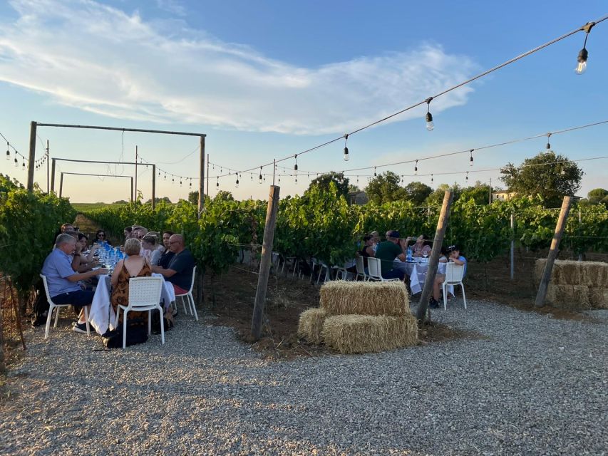 From Siena: Chianti and Castles Tour with Wine Tastings - Castellina in Chianti, a useful first taste of the region