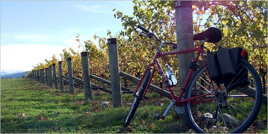 From Siena: Chianti Countryside E-Bike Tour w/ Lunch & Wine - Key points at a glance