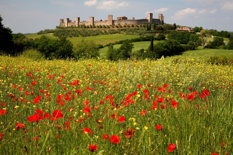 From Siena: Chianti Countryside E-Bike Tour w/ Lunch & Wine - Why this Chianti ride works so well from Siena