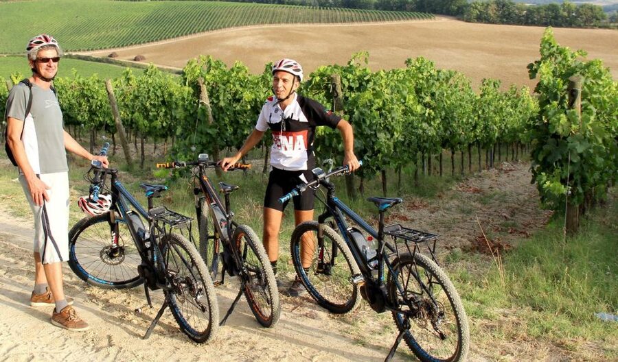 From Siena: Chianti Countryside E-Bike Tour w/ Lunch & Wine - Three hours among vineyards, olive groves, and woods