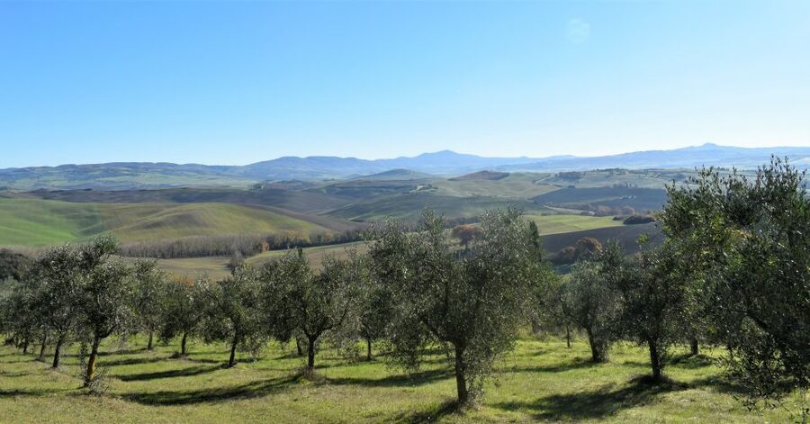 From Siena: Chianti Countryside E-Bike Tour w/ Lunch & Wine - The ride back and what the six hours feel like