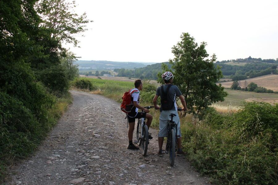 From Siena: Chianti Countryside E-Bike Tour w/ Lunch & Wine - Who will get the most from this tour